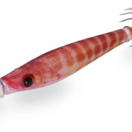 Pušča DTD Tataki Lead Kanjac 35g